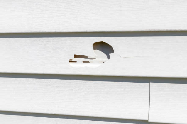 Best Stone Veneer Siding  in Maumelle, AR
